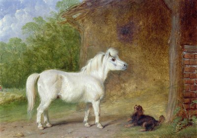 A Shetland pony and a King Charles spaniel by Martin Theodore Ward